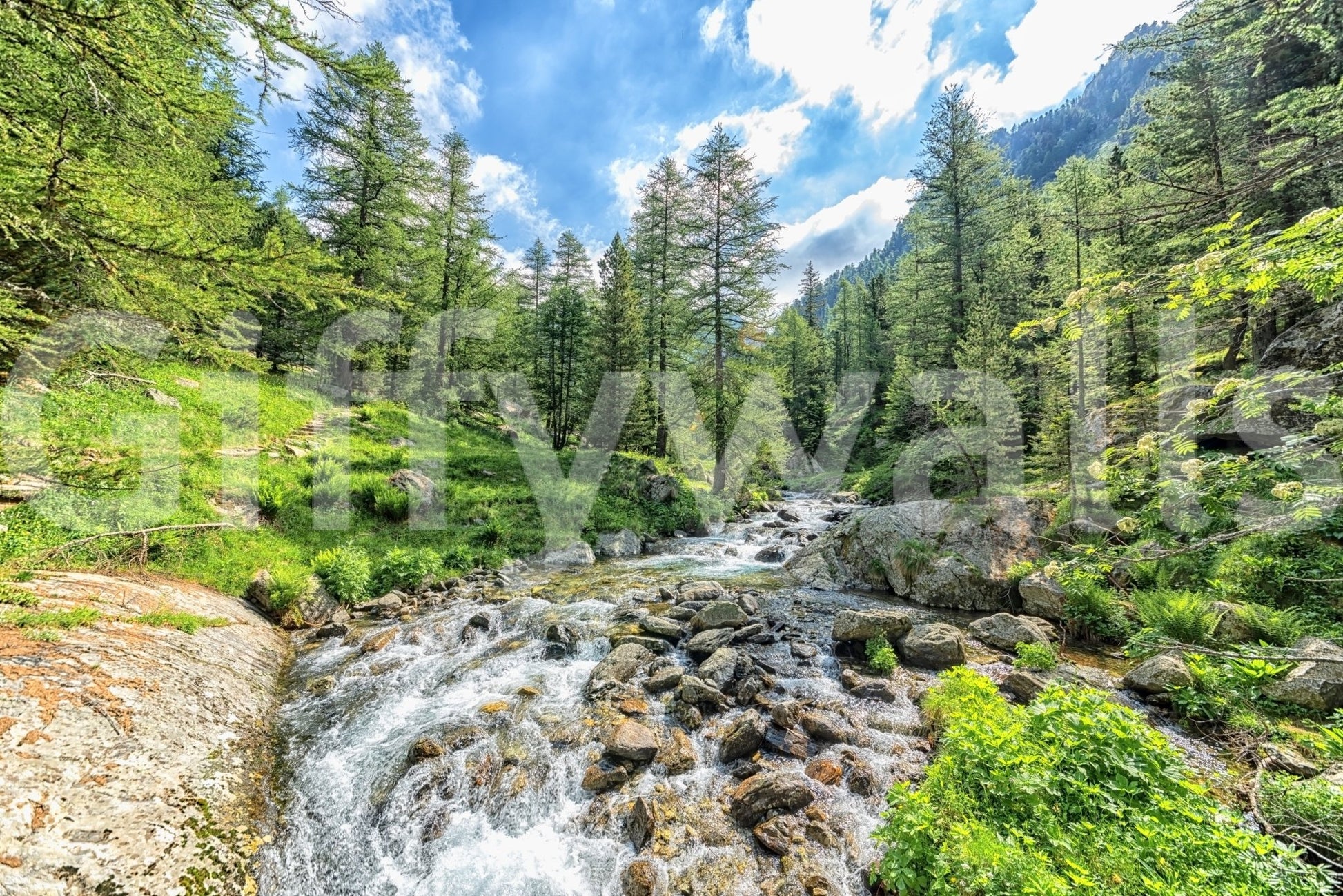 Alpine Stream wallpaper mural shown close-up, a rocky stream rushing through a green pine forest under blue sky