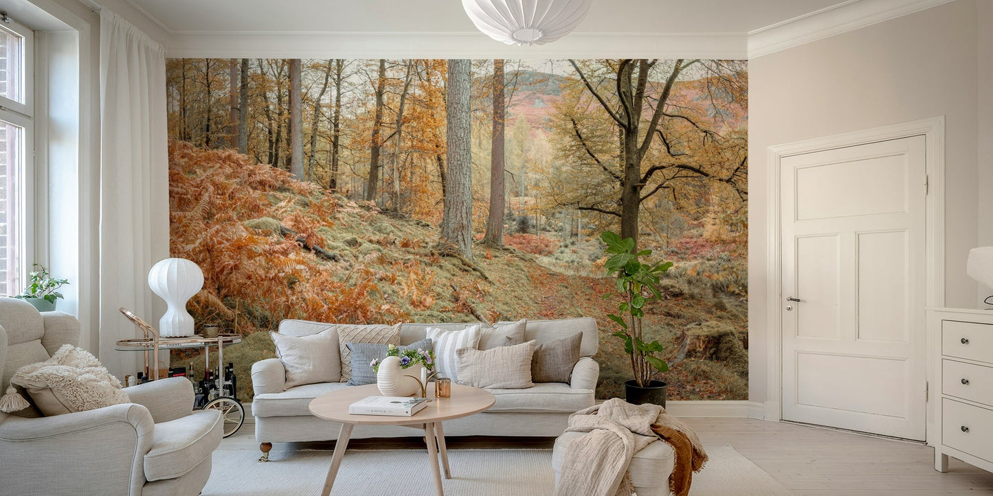 The sunlight filters through the trees, creating amber tones.

