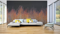 The artistic style is realistic, almost like a photograph.
