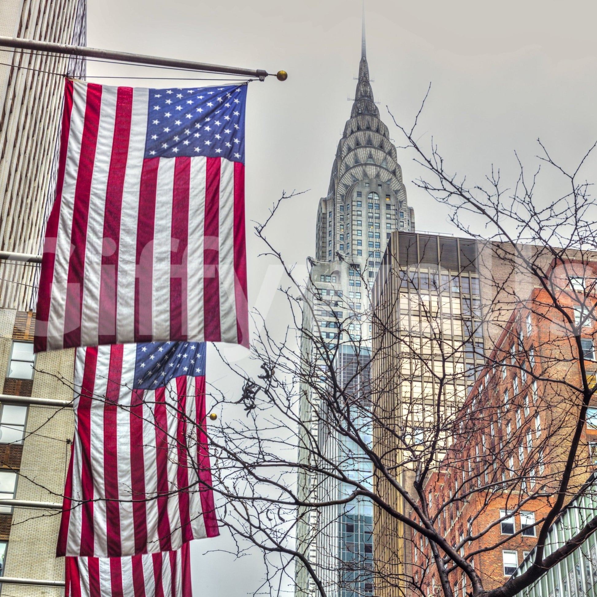 American Dreamscape triumphant American flags pattern wall mural.