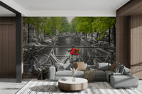 Quintessential Amsterdam graceful wall covering

