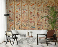 Ancient Glyphs wallpaper mural of stone hieroglyphs behind a white sofa and cane chairs in a living room