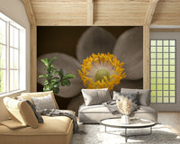 Close-up artistic image, Sunlit Floral Essence wallpaper for walls, delicate petals.