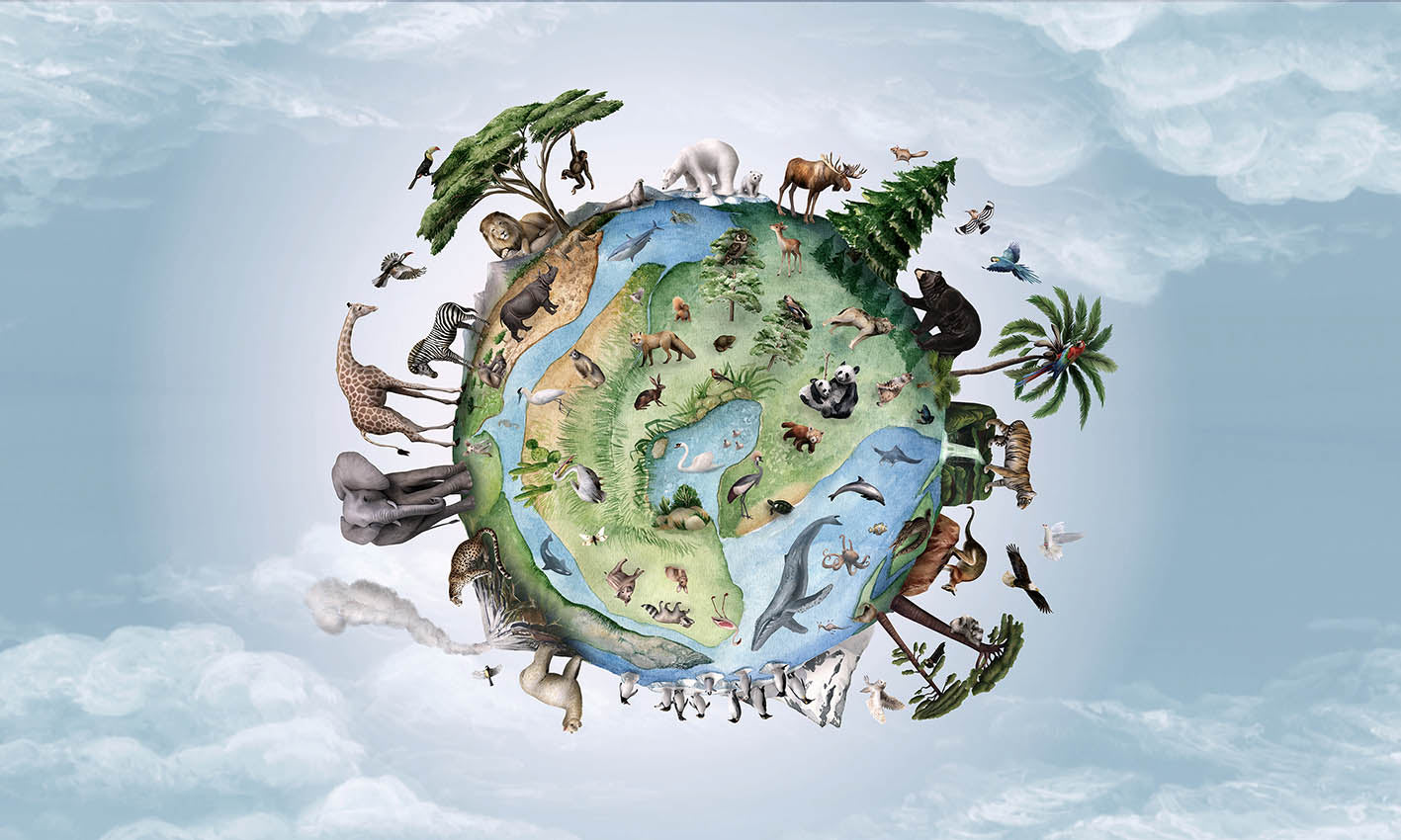 Animals Around Earth Wallpaper