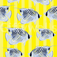 Aquaria Wallpaper – calming backdrop for interiors

