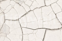 Arid Earth Abstract Wall Mural -2306166
