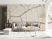 Arid Earth Abstract Wall Mural -2306166