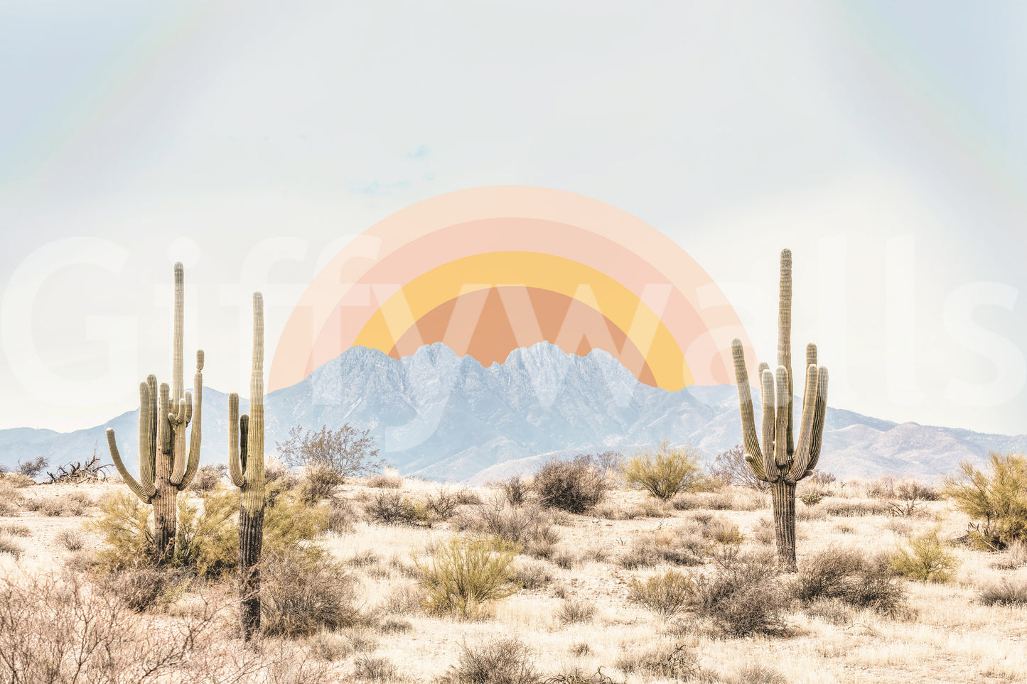 Arizona Sunrise wall mural showing saguaro cacti and distant mountains under a glowing orange sun in the desert
