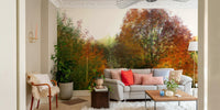 Seasonal tree canopy wallpaper
