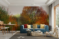Tree-lined autumn path wallpaper

