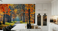 Forest wallpaper wall mural showing a winding autumn path, tree wallpaper shapes in soft focus