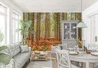 Nature's Embrace Wall Mural in modern living room, green forest wall decor