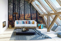 A tranquil misty woods wall mural for your decor.

