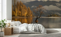 Misty morning landscape, tall poplars, vibrant Autumn Woodland Dawn Mirror wall accent.