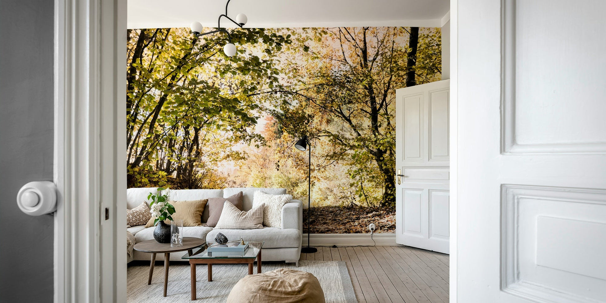 A photo-realistic wall mural of an autumn pathway in a forest.

