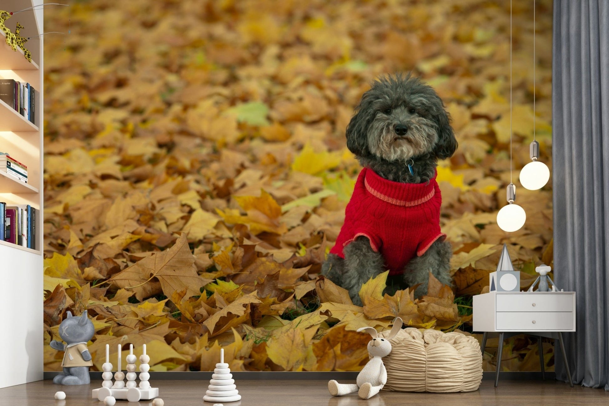 Autumn Pup wearing knitwear wallpaper sweet animal photograph.