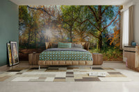 Peaceful fall morning mural

