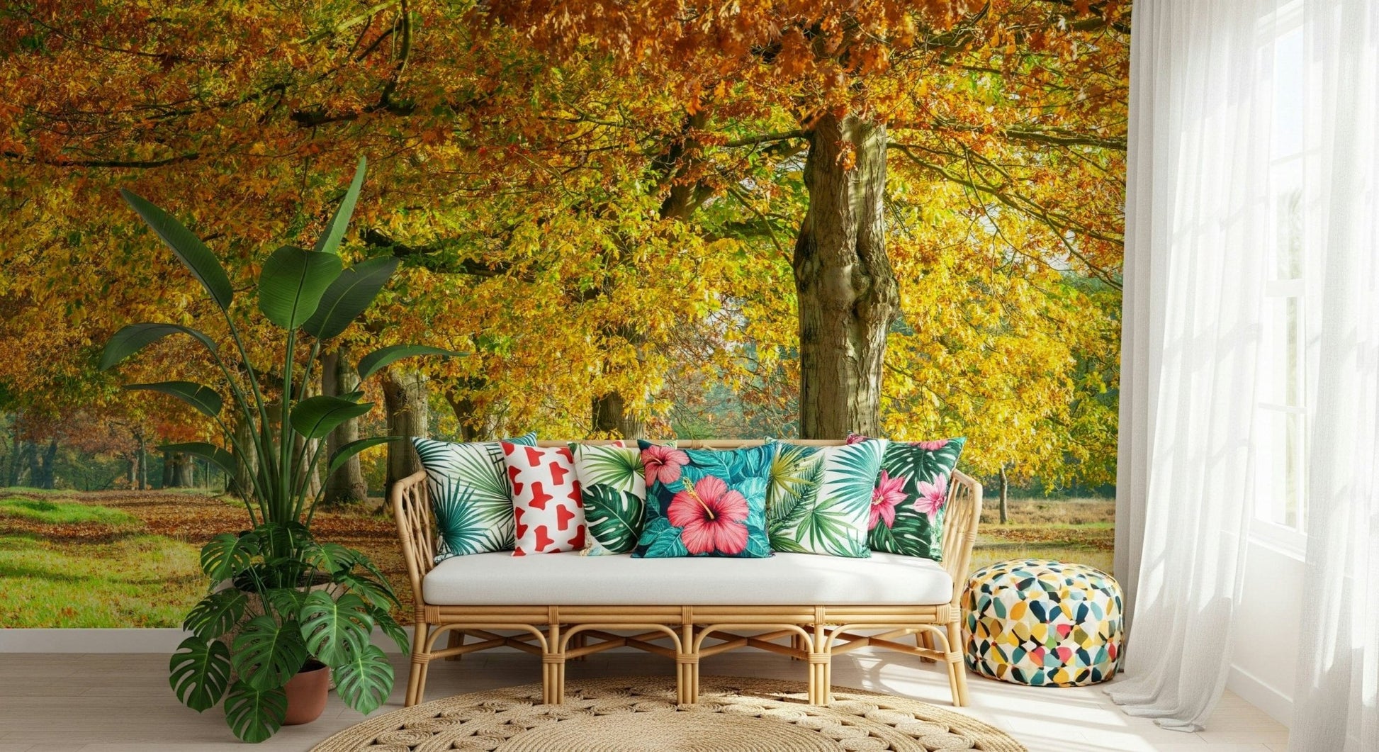 Autumn's Avenues Wall Mural