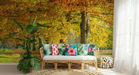Autumn's Avenues Wall Mural