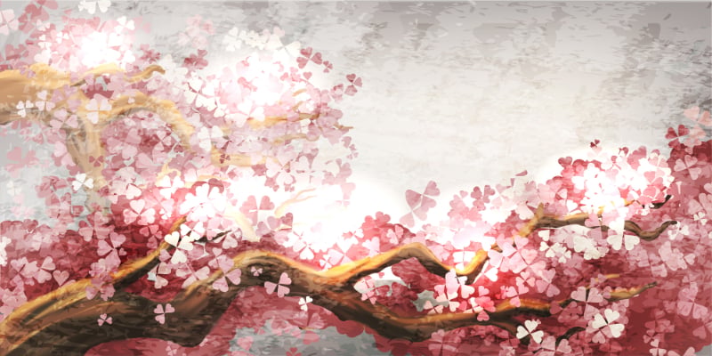 Pink Flower Sakura Branch Wallpaper Murals