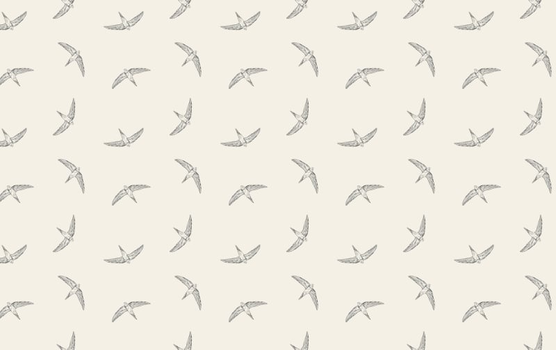 Beige Color Flying Swallow Bird Wallpaper in your room