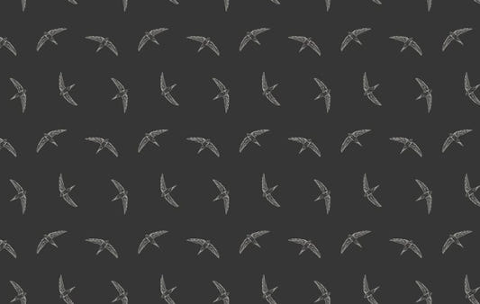 Black Color Flying Swallow Bird Wallpaper
