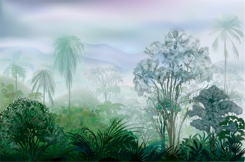 Green Tropical Rainforest Wallpaper Murals in your room — zoomed