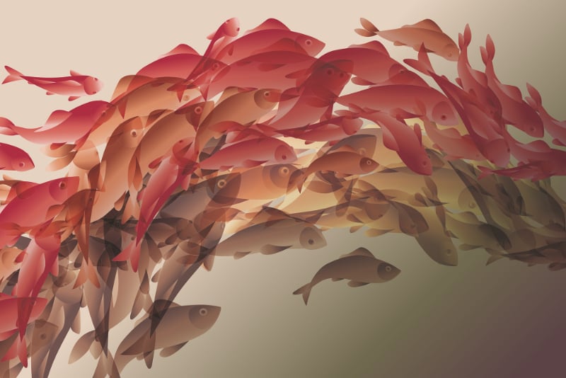 Abstract Koi Fish Wallpaper Mural in your room — zoomed