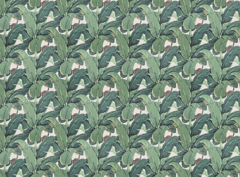 Banana Leaves & Tropical Garden Leaf Wallpaper in your room — zoomed