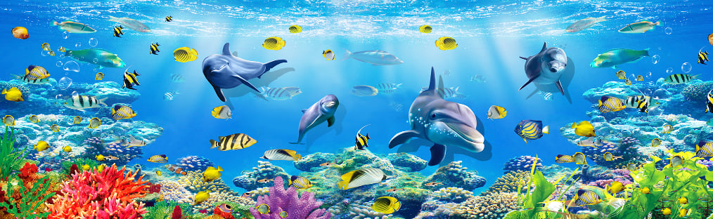 Underwater Sea Dophine Wall Wallpaper Mural