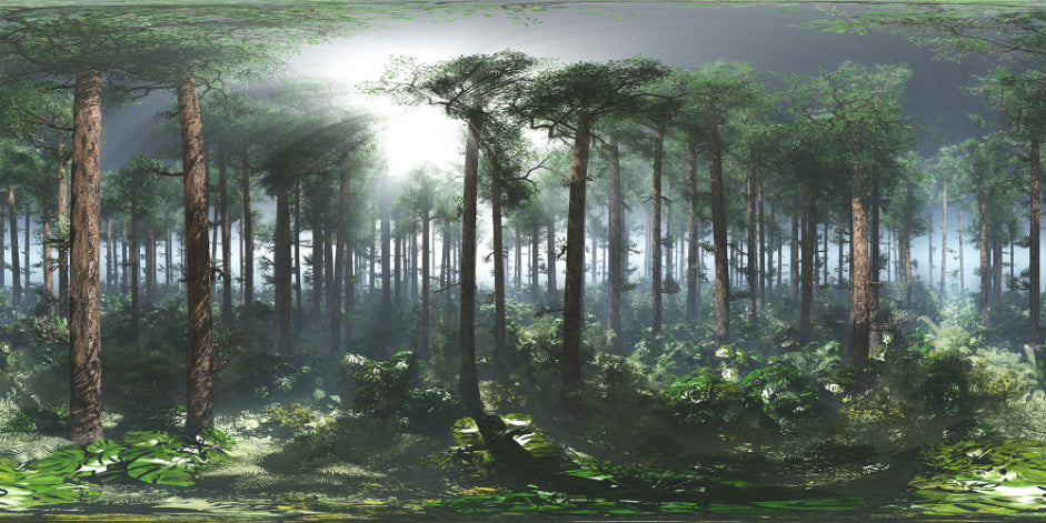 Green Tropical Foggy Forest Wallpaper Murals