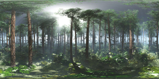 Green Tropical Foggy Forest Wallpaper Murals