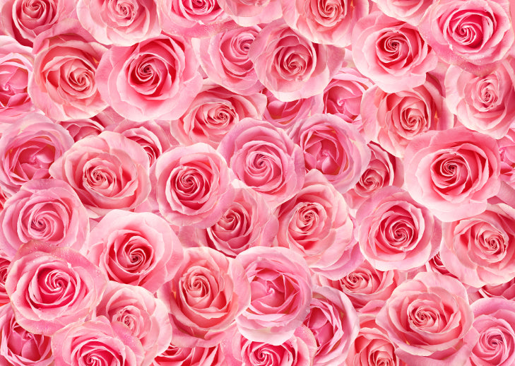 Floral peel and Stick Wallpaper in your room