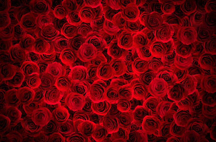 Bright Red Roses Backdrop Wallpaper Wall Murals in your room — zoomed