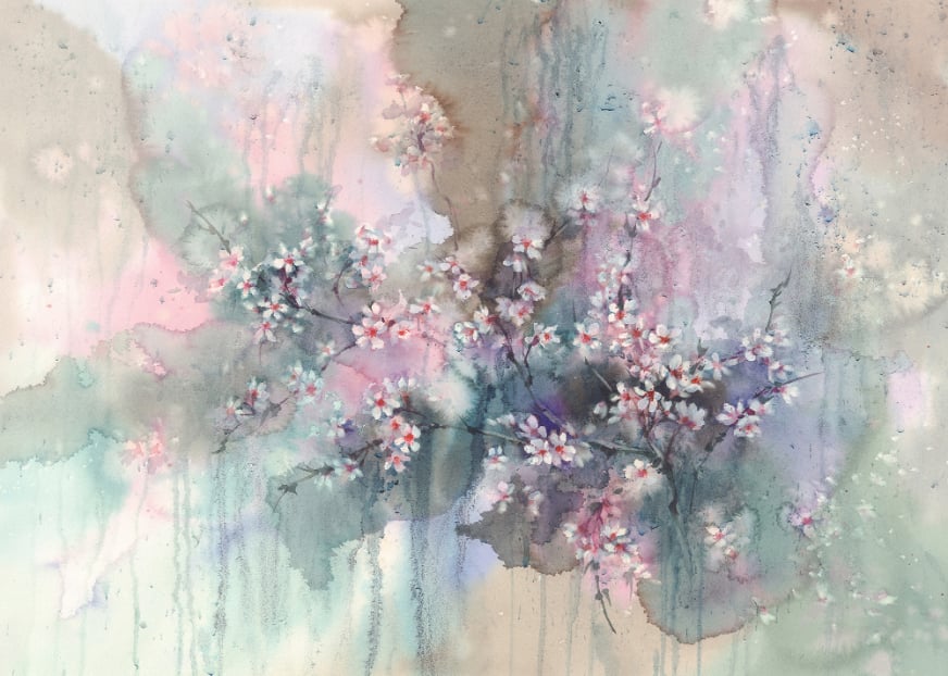 Sakura Watercolor Flower Wallpaper Wall Murals