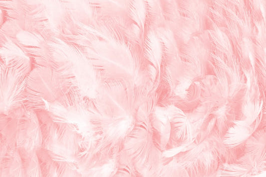 Soft Pink Vintage Color Trends Feather Wallpaper