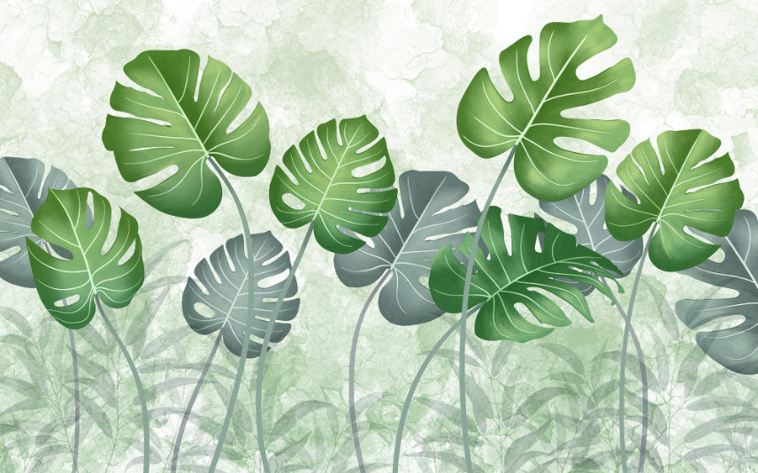 Best Tropical Wild Trees Wallpaper Wall Mural in your room