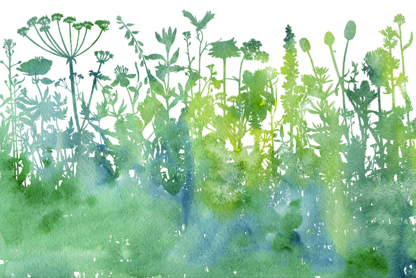 Watercolor Trees Botanical Pattern Wallpaper For Walls