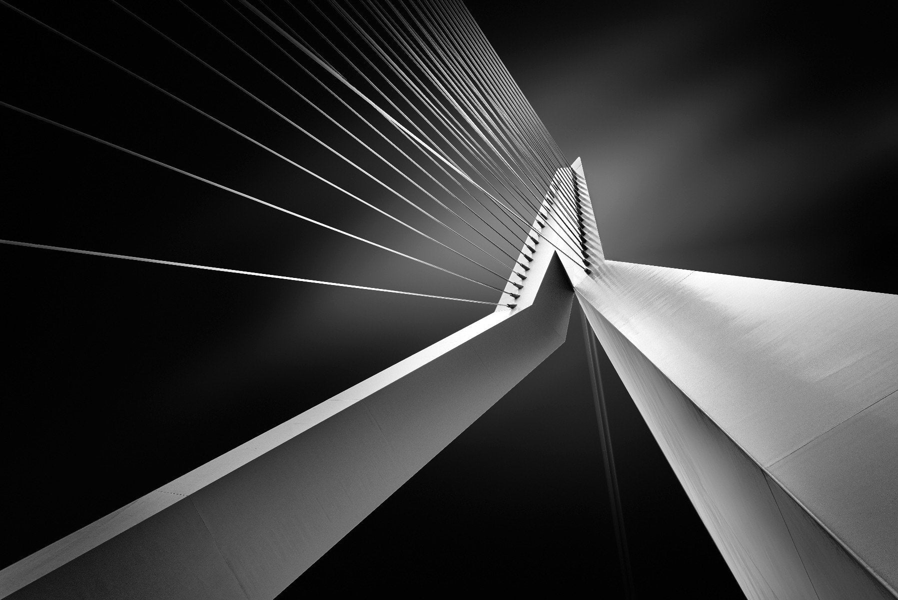 Erasmus Bridge Abstract Architectural Wall Mural
