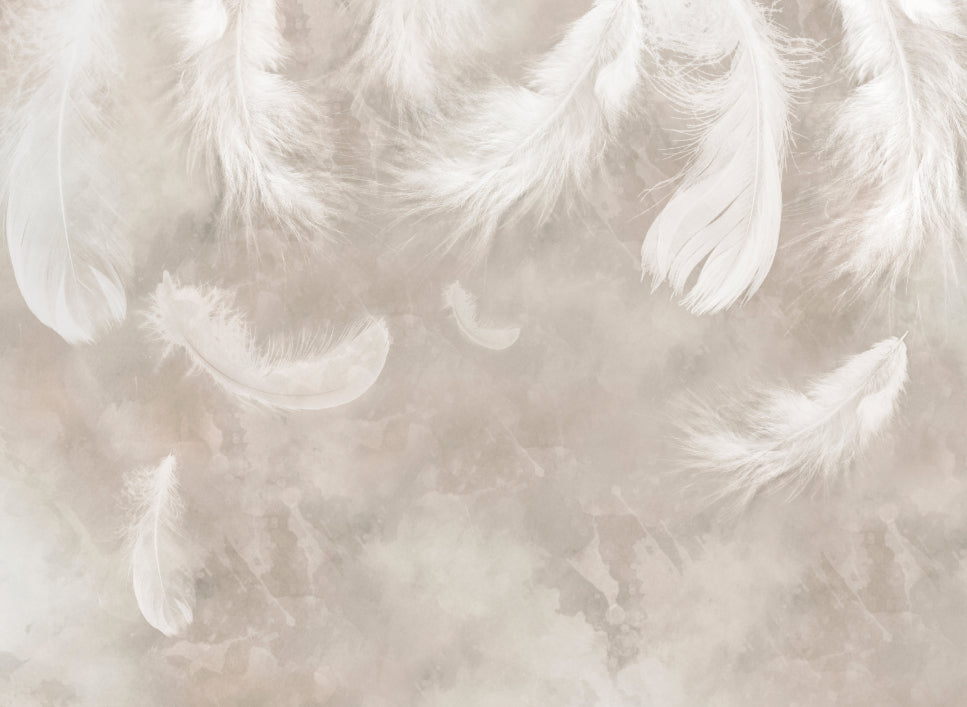 Vintage Watercolor Feathers Bedroom Wall Mural