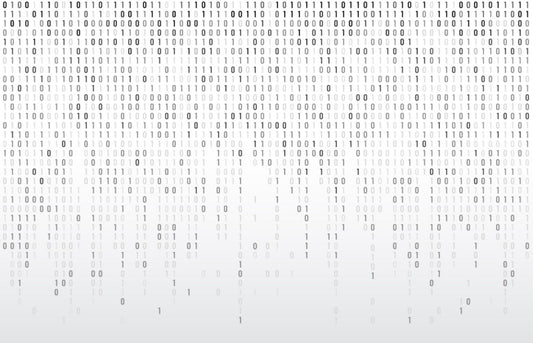 Digital Binary Code Wall Mural