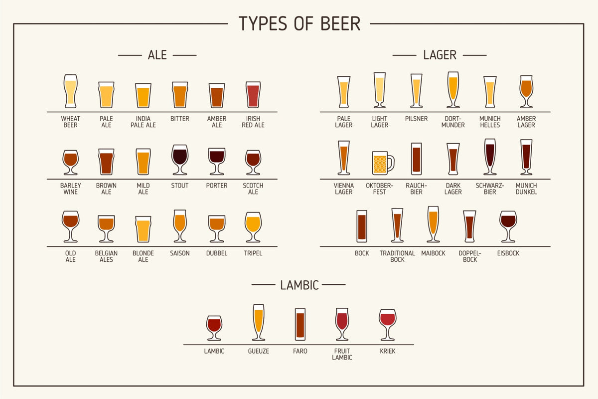 Beer Types Wall Mural in your room — zoomed