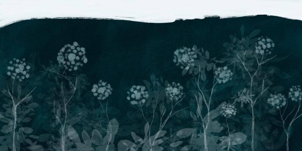 Midnight Botanical Wall Mural in your room