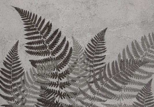 Tropical Fern Wall Mural