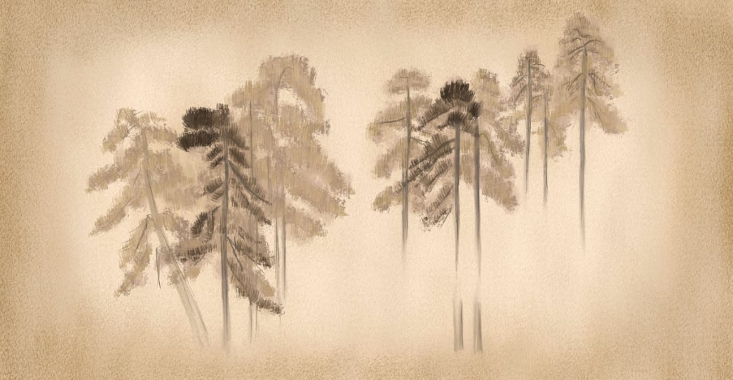 Pine Trees Wall Mural