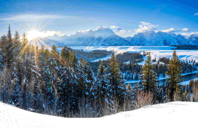 Wyoming Winter Wall Mural in your room