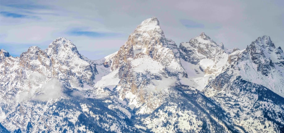 Grand Teton Wall Mural