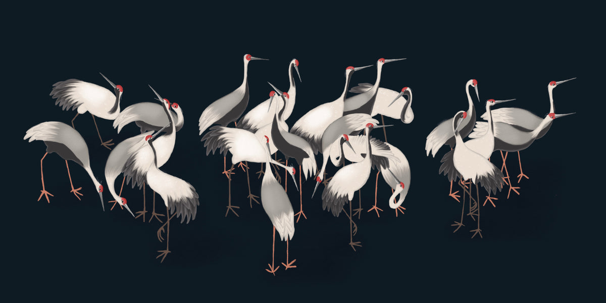 White Cranes Wall Mural in your room — zoomed