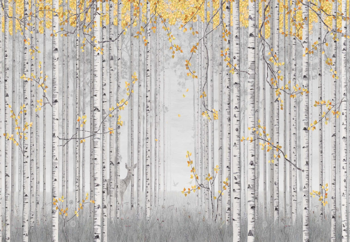Yellow Leaves and Gray Birch Trees Wall Mural in your room — zoomed