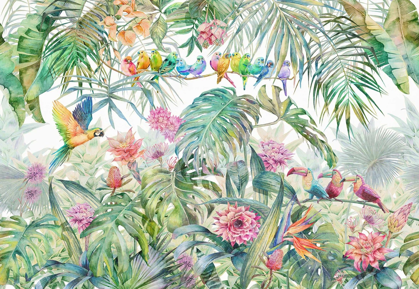 Tropical Forest Birds Wallpaper Mural in your room — zoomed